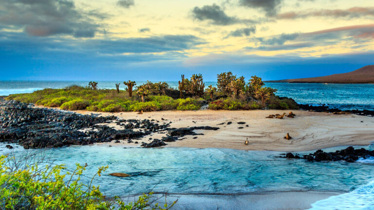 honeymoon shows, Galapagos islands unspoiled