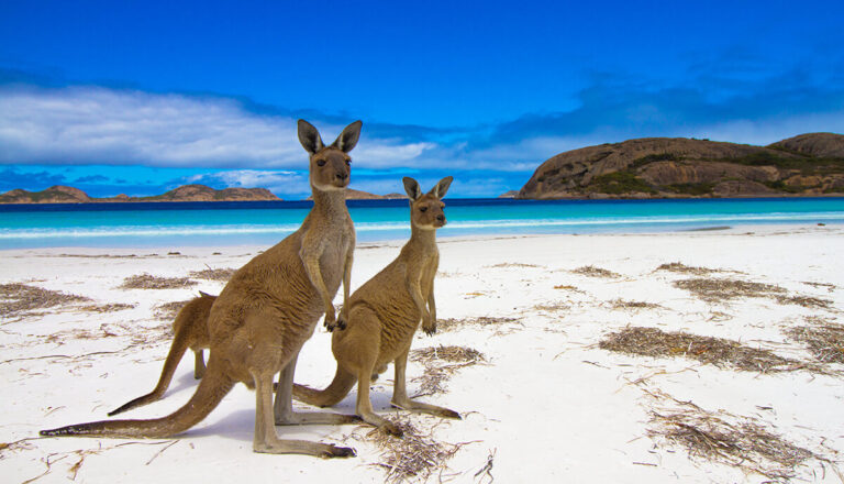 honeymoon shows, Kangaroo-Island-Australia beaches