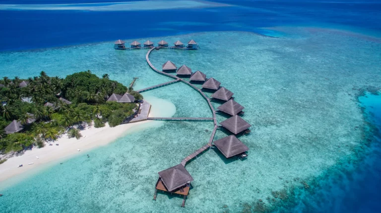 honeymoon shows, the Maldives resorts