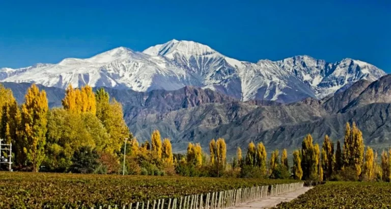 honeymoon shows, Mendoza Argentina wine