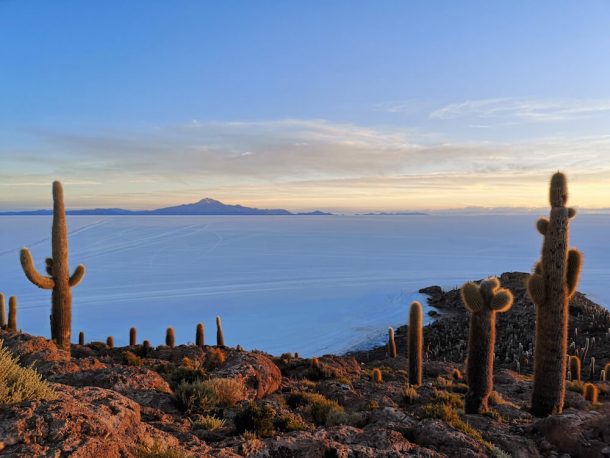 honeymoon shows, Uyuni Salt Flats cactus