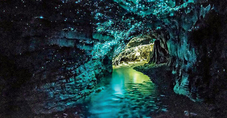 honeymoon shows, Waitomo Glowworm Caves new zealand